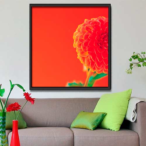 Quadro Decorativo - Flores Dália
